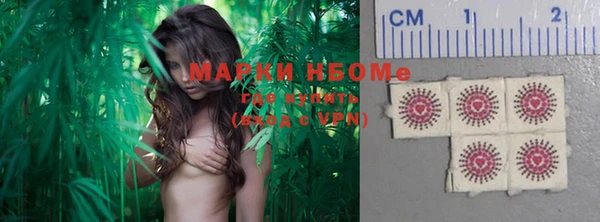 крисы Мегион