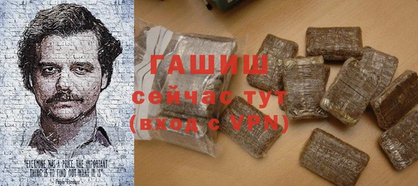 крисы Мегион