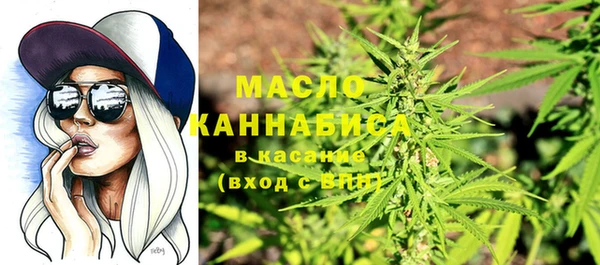 крисы Мегион