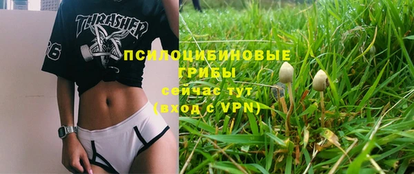 амфетамин Медвежьегорск