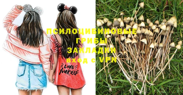 амфетамин Медвежьегорск