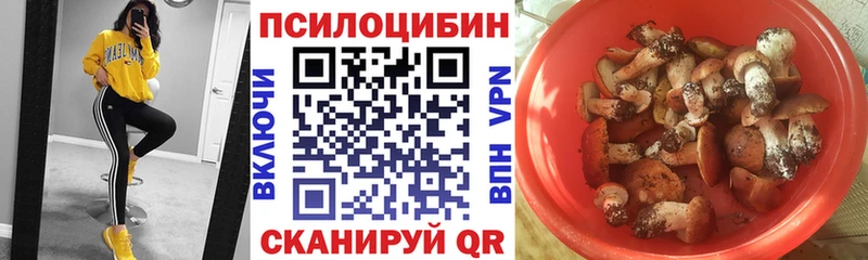 Псилоцибиновые грибы GOLDEN TEACHER  Суровикино 